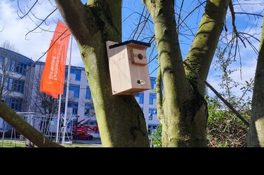 Ein Nistkasten für Meisen, der an einem Baum hängt. Im Hintergrund befinden sich zwei orangefarbene Flaggen mit der Aufschrift "Fachhochschule Dortmund" sowie das Gebäude Emil-Figge-Straße 42.