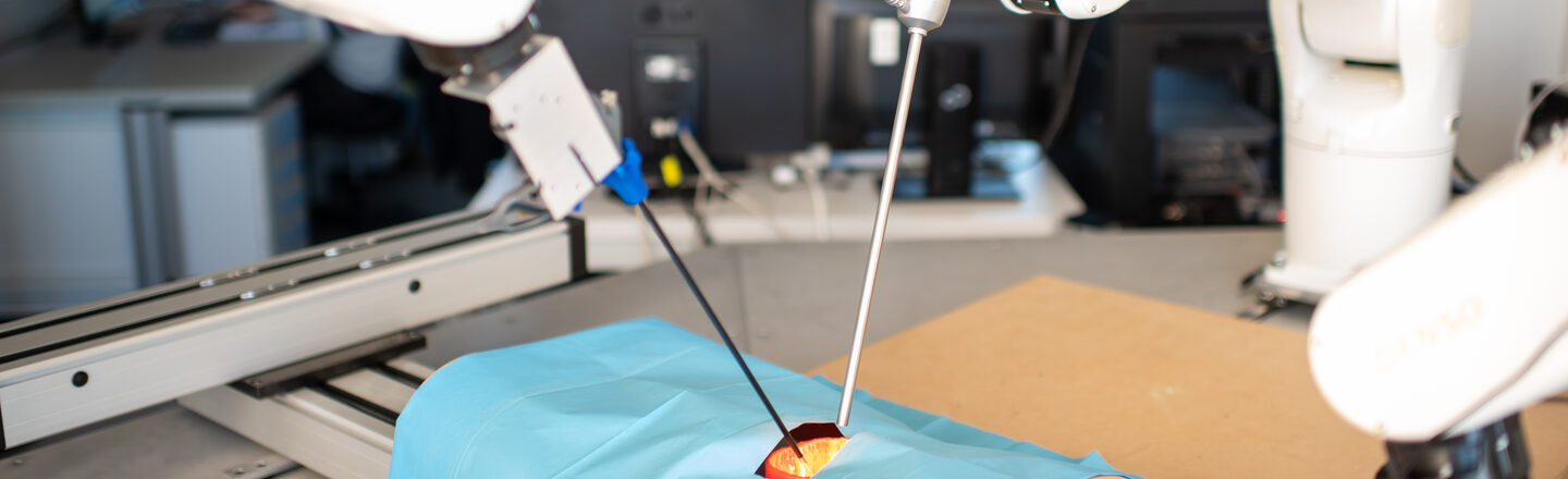 Surgical robot with endoscopes and plastic torso in the foreground. The endoscopes are inserted into an opening in the torso. Behind them, two employees at the computer workstation can be seen out of focus.