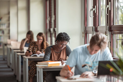 Foto von Studierenden, die an Einzelarbeitsplätzen in der Bibliothek lernen.