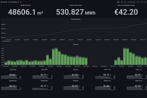 Display of the meter reading, consumption values and savings in the software.