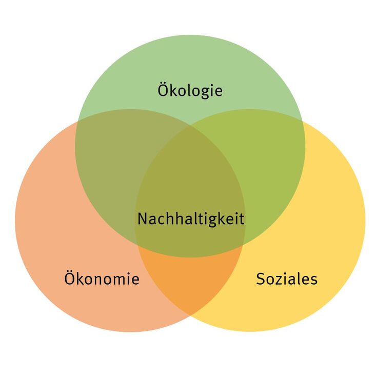 Diagram illustrating that sustainability is made up of the three areas of ecology, economy and social issues.