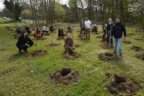 Mehrere Personen sind auf einer Wiese zu sehen, auf der kleine Pflanzen frisch eingegraben wurden.