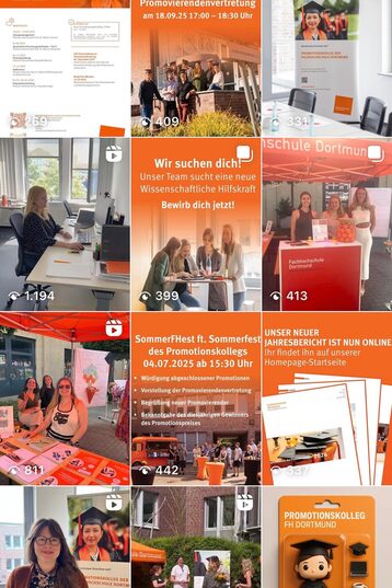 Screenshot of the Instagram posts