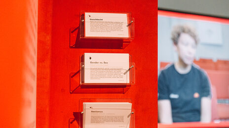 Paper cards on the topics of gender, gender vs. sex and sexism are placed in the "Diversity" exhibition.