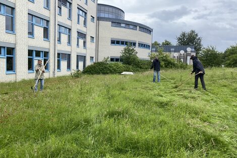 Menschen mähen eine Wiese mit der Sense