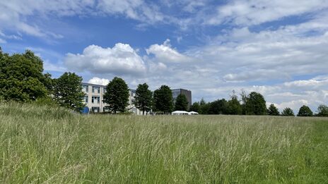 A meadow can be seen in the foreground, further back are UAS buildings.