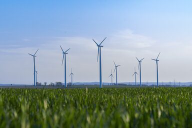 Wind turbines stand on a green field