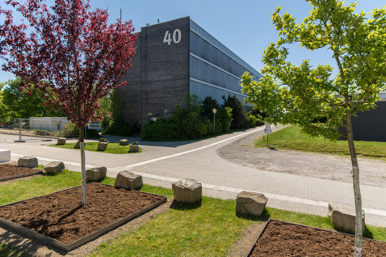 Photo with a view of building 40 on Emil-Figge-Strasse through the trees.