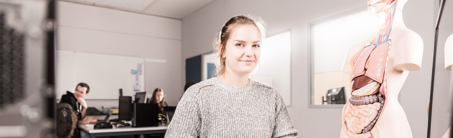 Photo of a student at a computer workstation, next to her on the table is an anatomy model.