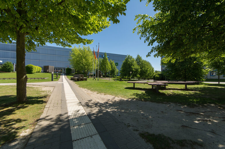 Photo of the walkway with guidance system for the blind leading to the Faculty of Architecture building. To the left and right of the walkway are meadows with trees and seating.