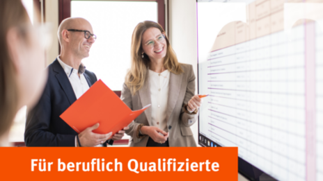 The teaser image shows a person looking at a large monitor. It is accompanied by the lettering: For professionally qualified people.